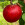 Cardinal