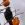 sturnus unicolor, birding, birwatching, diospyros kaki, estornino negro