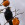 aves de Galdames, Estornino negro, Sturnus unicolor,  birding, birdwatching