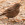 aves de Galdames, Zorzal común , Turdus philomelos, birding, birdwatching 